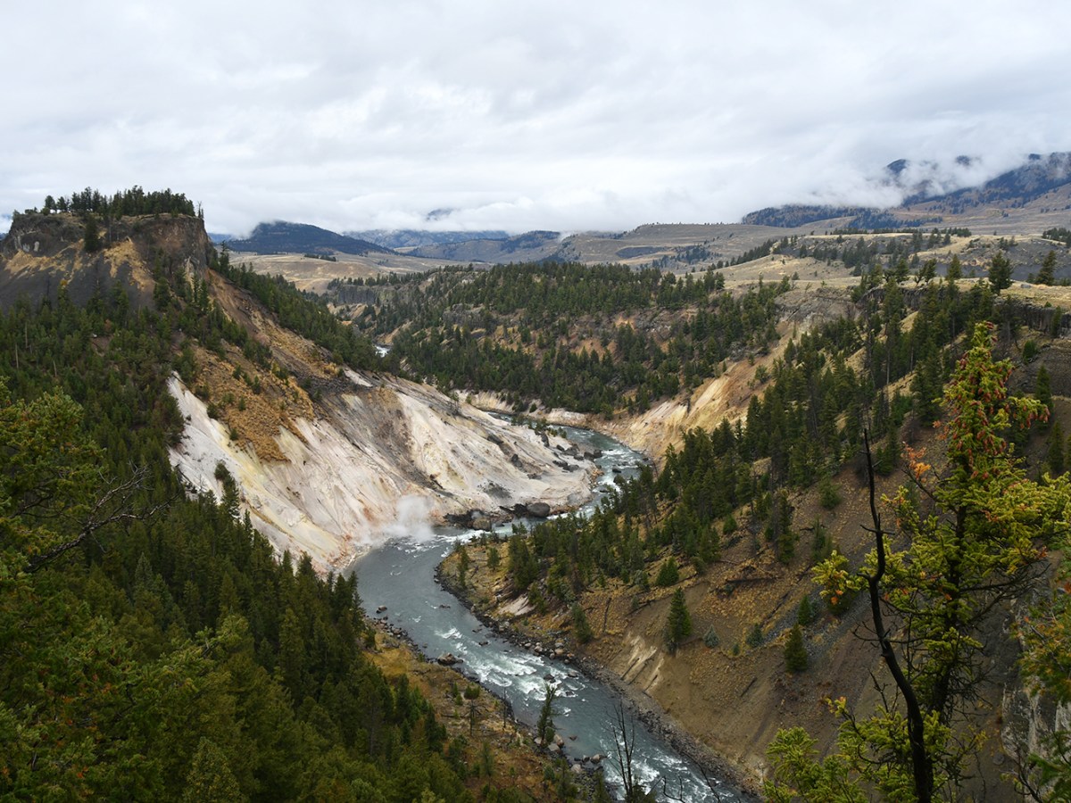 Falling for Yellowstone: Day 3 – Mammoth Hot Springs, Wraith Falls, Tower Falls, Dunraven Pass, & Grand Canyon of the&nbsp;Yellowstone