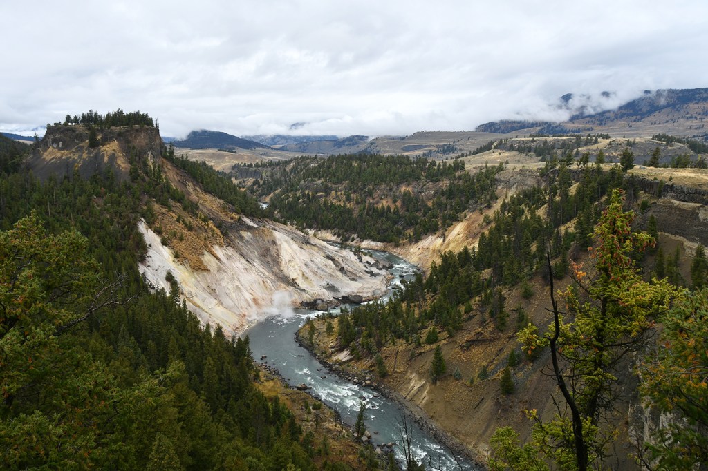Falling for Yellowstone: Day 3 – Mammoth Hot Springs, Wraith Falls, Tower Falls, Dunraven Pass, & Grand Canyon of the Yellowstone