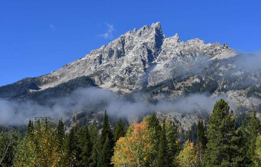 Falling for Grand Teton: Day 5 – Signal Mountain, Jenny Lake, & Moose