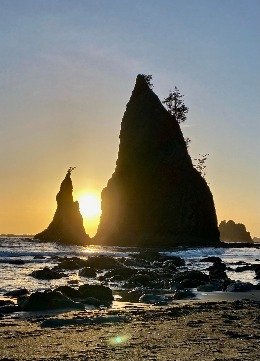 Whirlwind Washington – Part 1: Quinault Big Sitka, Hoh Rainforest, and Rialto Beach