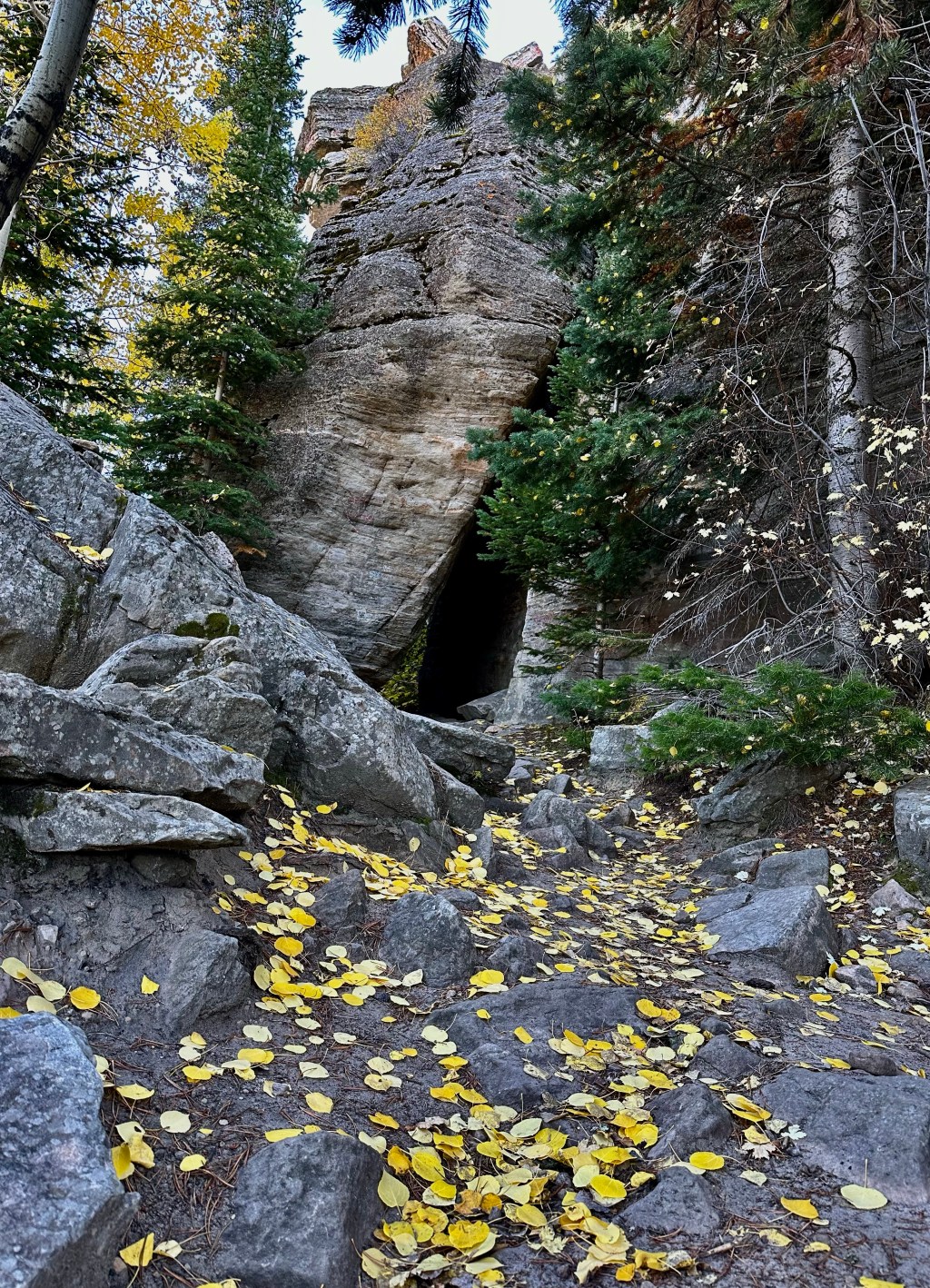 Wyoming Hiked: Bridle&nbsp;Trail