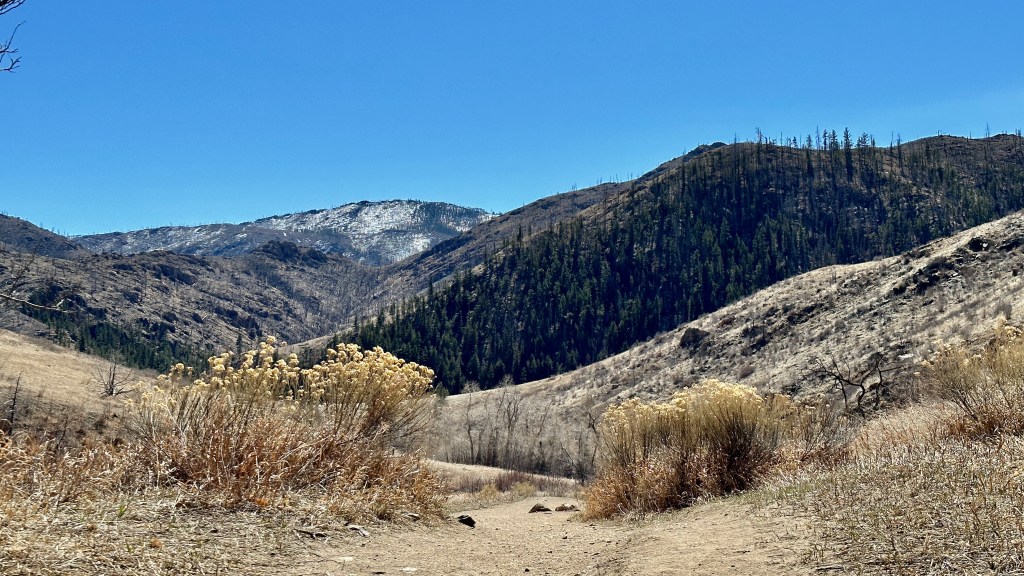 Colorado Hiked: Hewlett Gulch