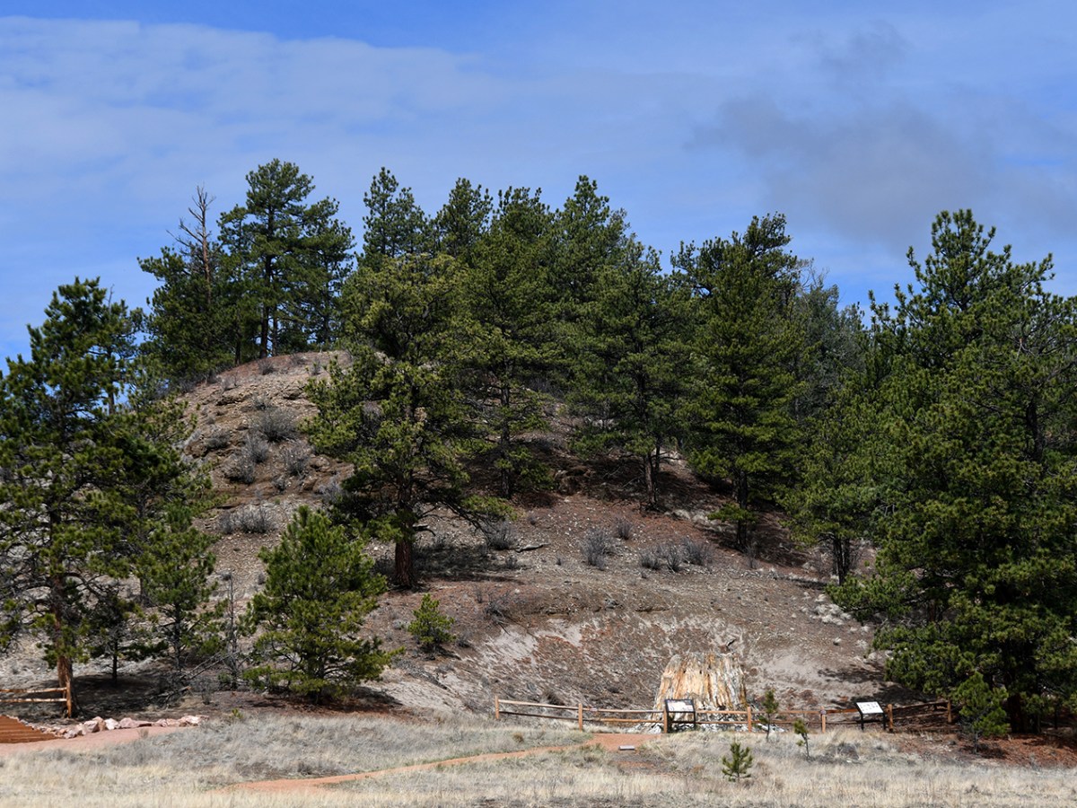 Colorado Parkin’ Day 1 – Florissant Fossil Beds National Monument, Curecanti National Recreation Area, & Black Canyon of the Gunnison National&nbsp;Park