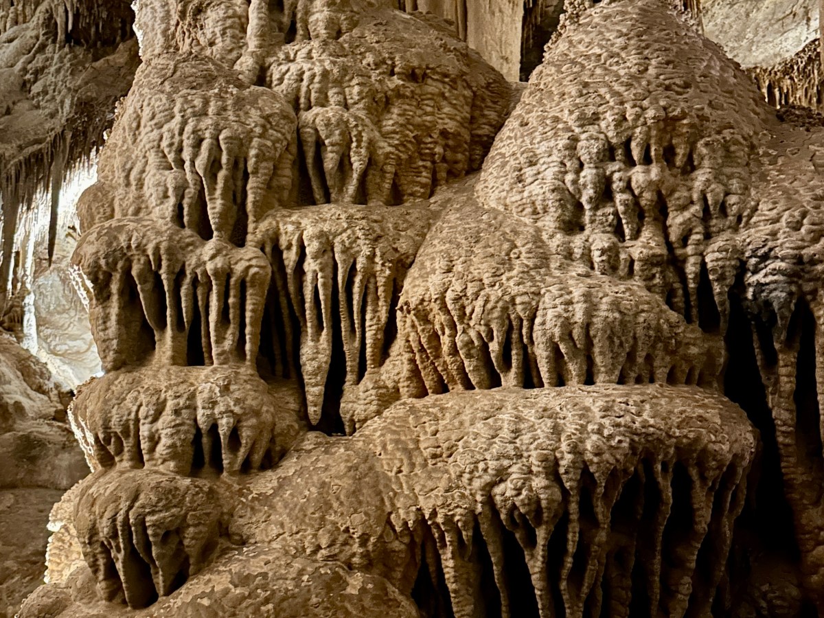 40th Birthday Adventure Day 2: Great Basin National Park – Bristlecone Pines, Glacier, and Lehman Caves… Oh&nbsp;My!