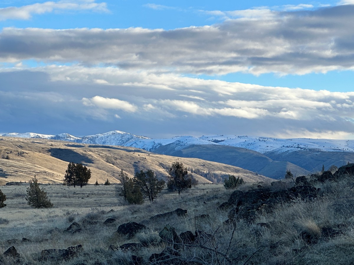 2023 Adventuring Year-in-Review