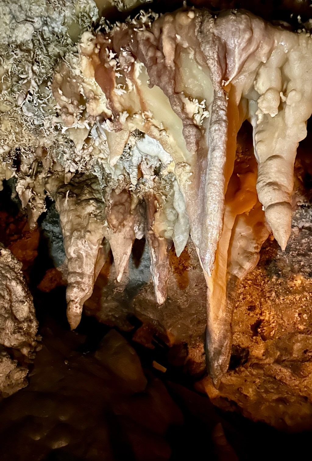 40th Birthday Adventure Day 5: Timpanogos Cave National Monument