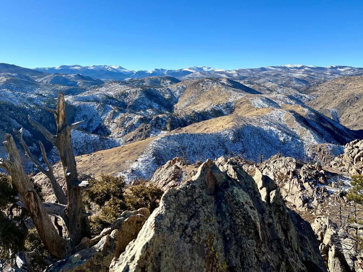 Colorado Hiked: Mount&nbsp;McConnel