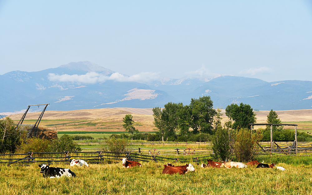 Two Girls Roving: Day 2 – Grant-Kohrs Ranch National Historic Site and Grand Coulee&nbsp;Dam