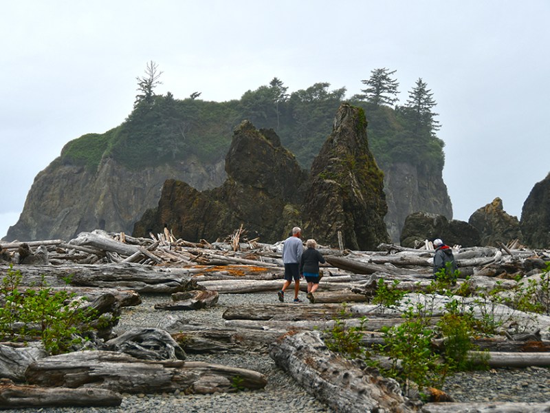 Two Girls Roving: Day 12 – Ruby Beach & Very Big&nbsp;Trees
