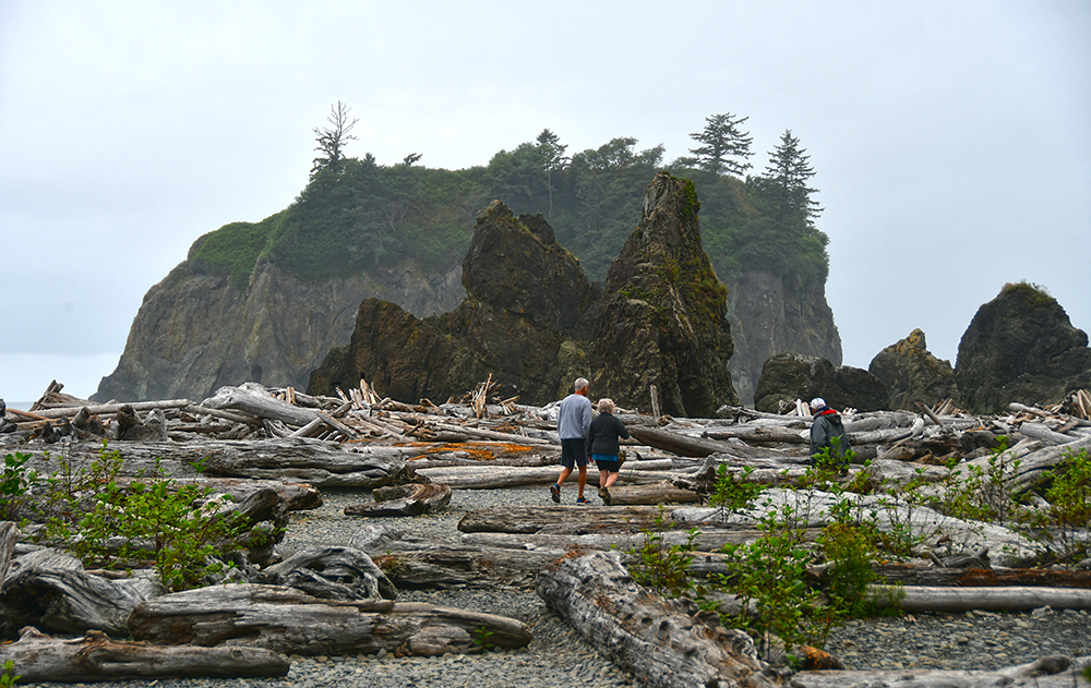 Two Girls Roving: Day 12 – Ruby Beach & Very Big Trees