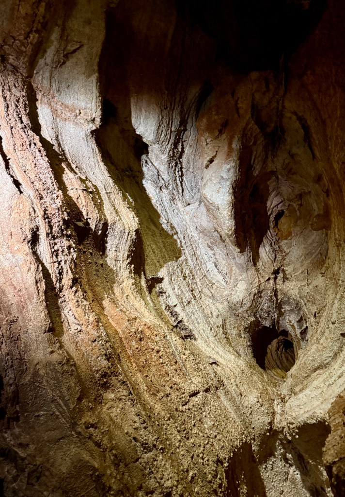 Close-up view of cave formations in Wind Cave, showcasing textured rock surfaces and unique geological patterns.