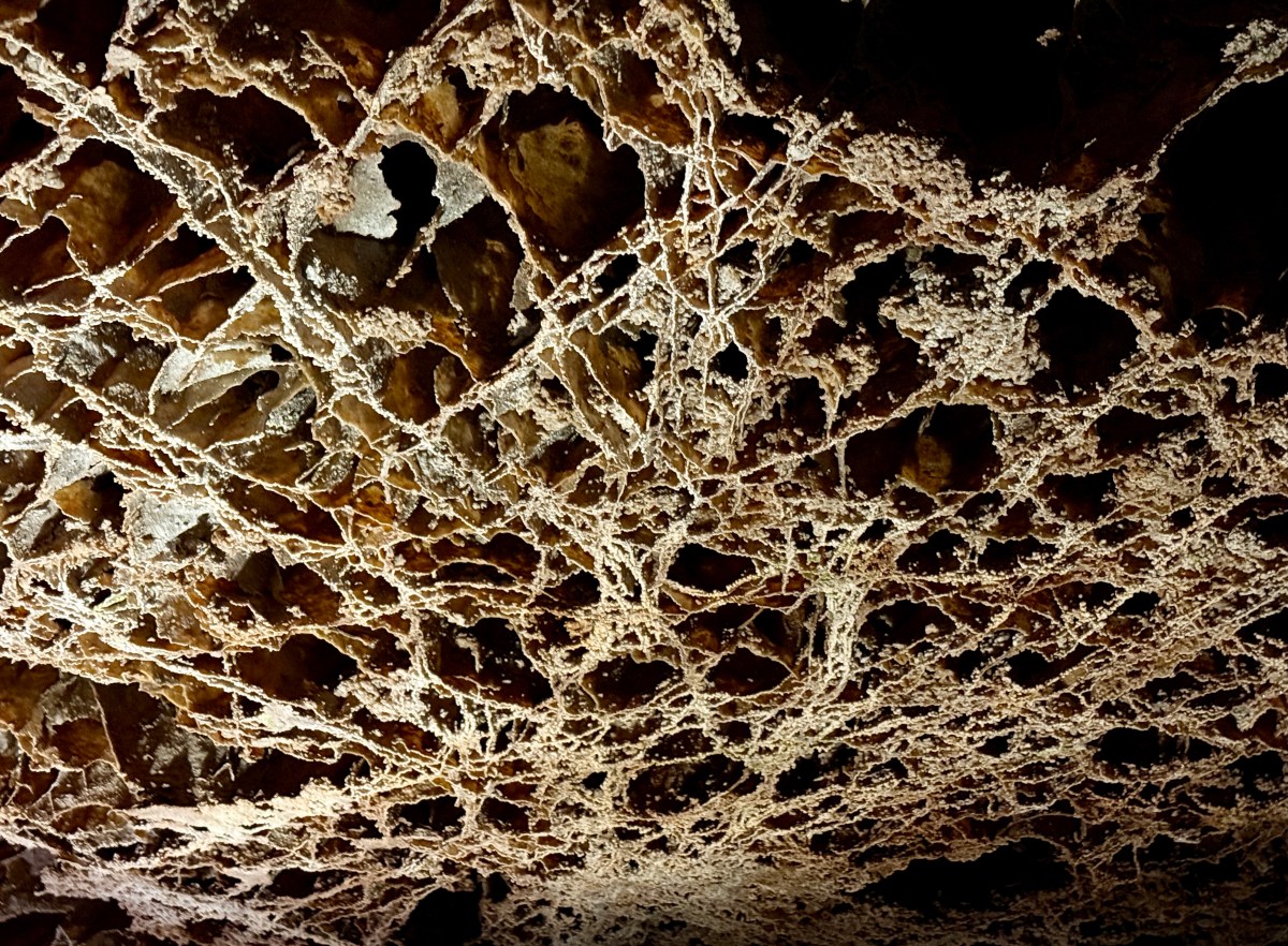 Exploring Wind Cave: Our Adventure on the Fairgrounds&nbsp;Tour