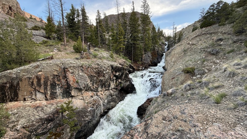 A rushing stream flows through a rocky canyon lined with pine trees, under a partially cloudy sky.