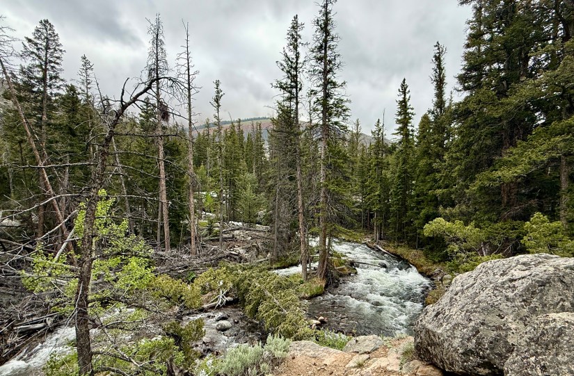 A scenic view of a forested area in Wyoming, featuring a flowing river surrounded by tall pine trees and rocky outcrops under a cloudy sky.