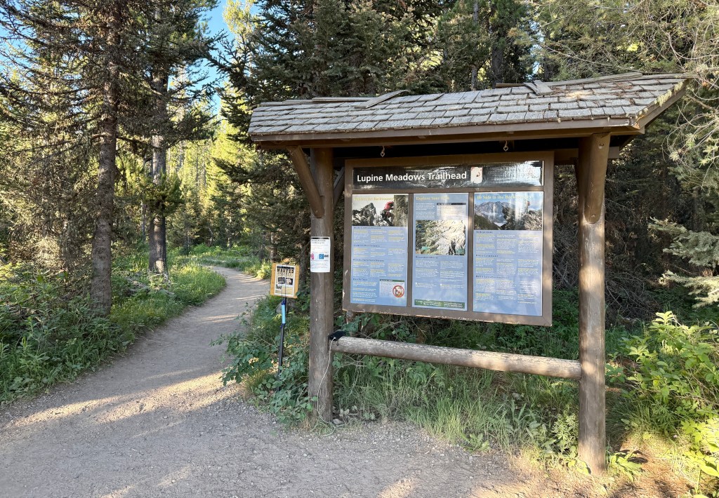 Sign at the Lupine Meadows Trailhead, surrounded by pine trees and a dirt path leading into a forested area.