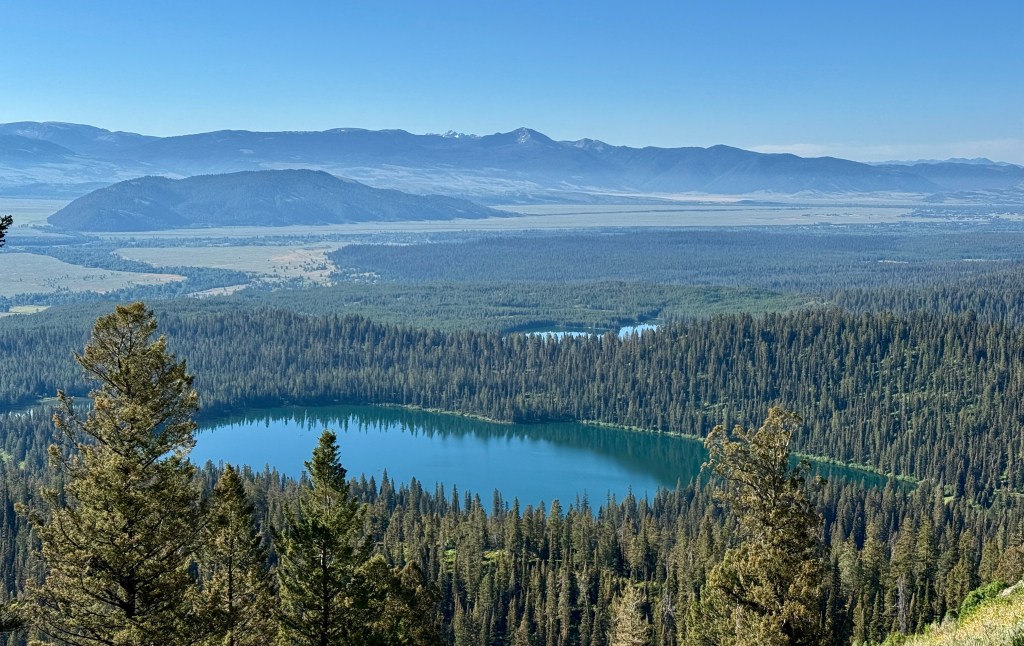 A panoramic view of two alpine lakes surrounded by dense forest and distant mountains under a clear blue sky.