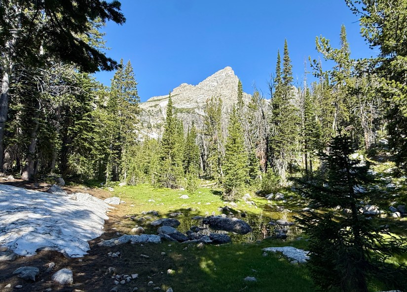 A scenic mountain landscape featuring a prominent rocky peak rising above a forest of evergreen trees and lush green grass, with remnants of snow on the ground and a clear blue sky in the background.