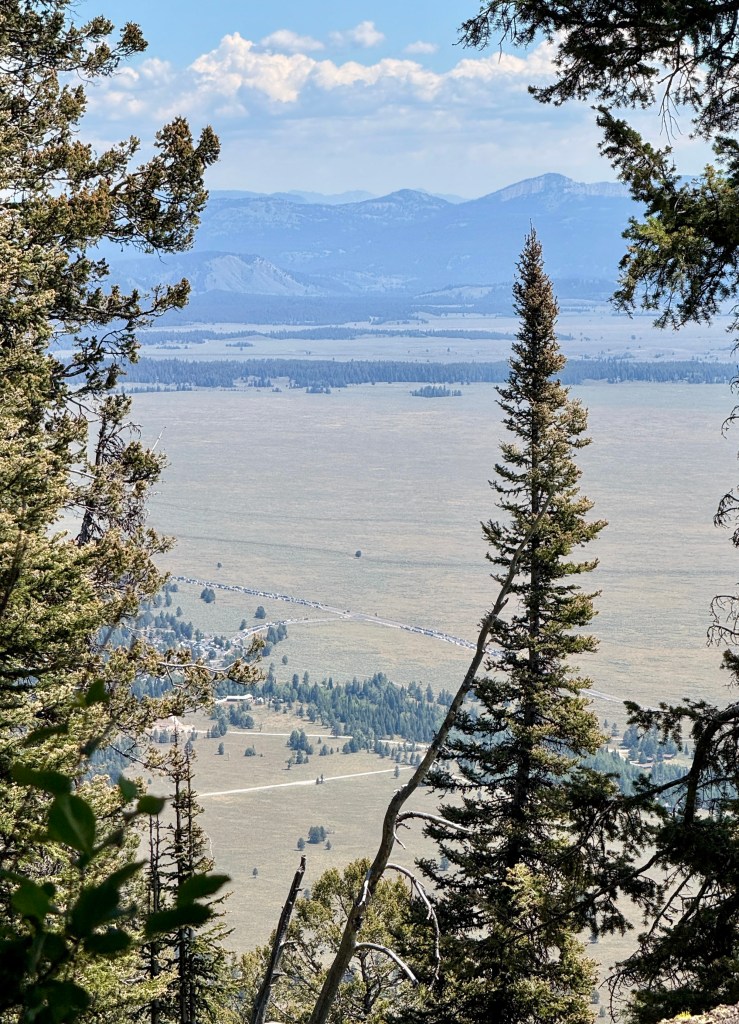 A scenic view overlooking a valley in Grand Teton National Park, framed by evergreen trees with mountains in the background under a partly cloudy sky.