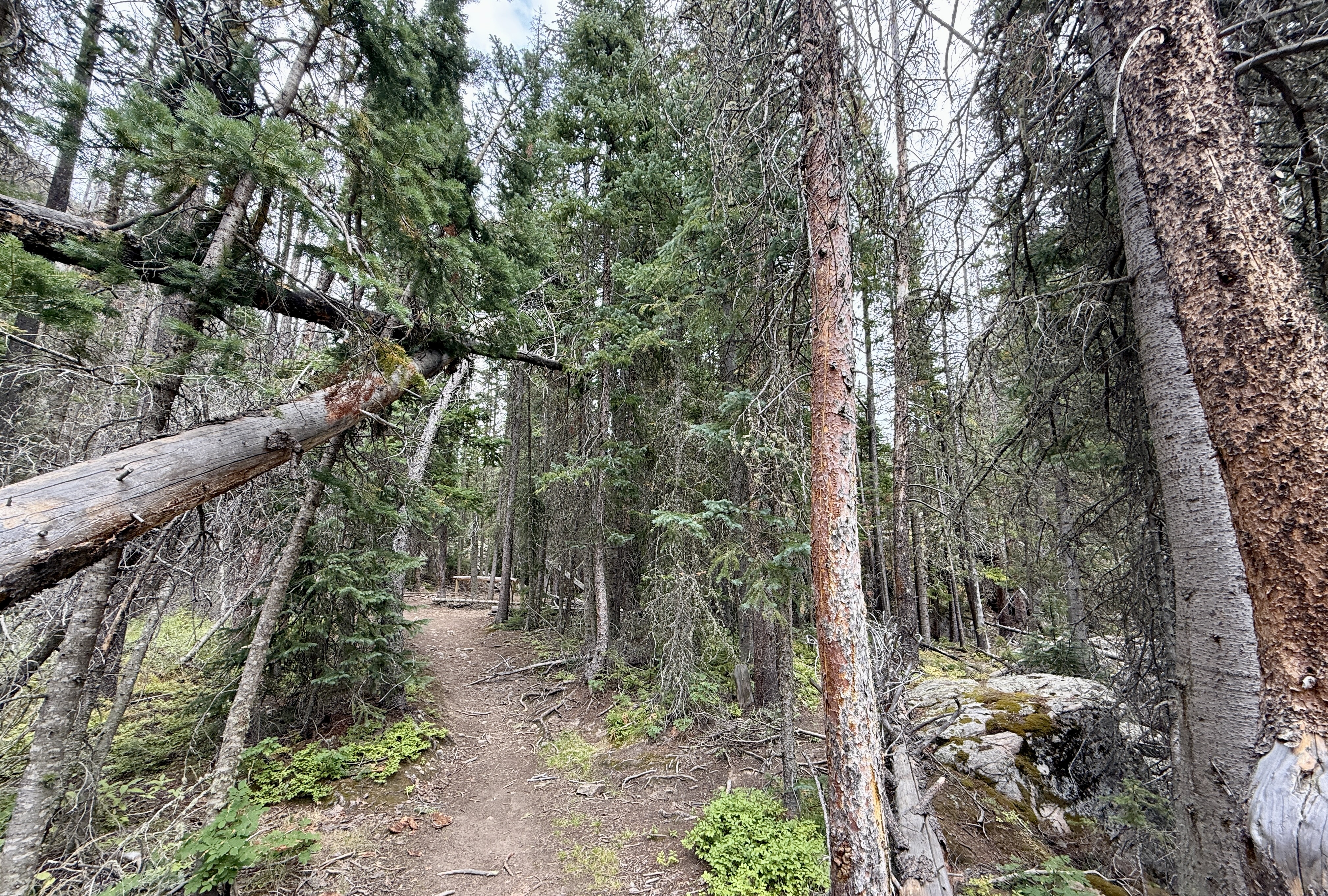 Rocky Mountain National Park CDT Loop: Day 1 – North Inlet