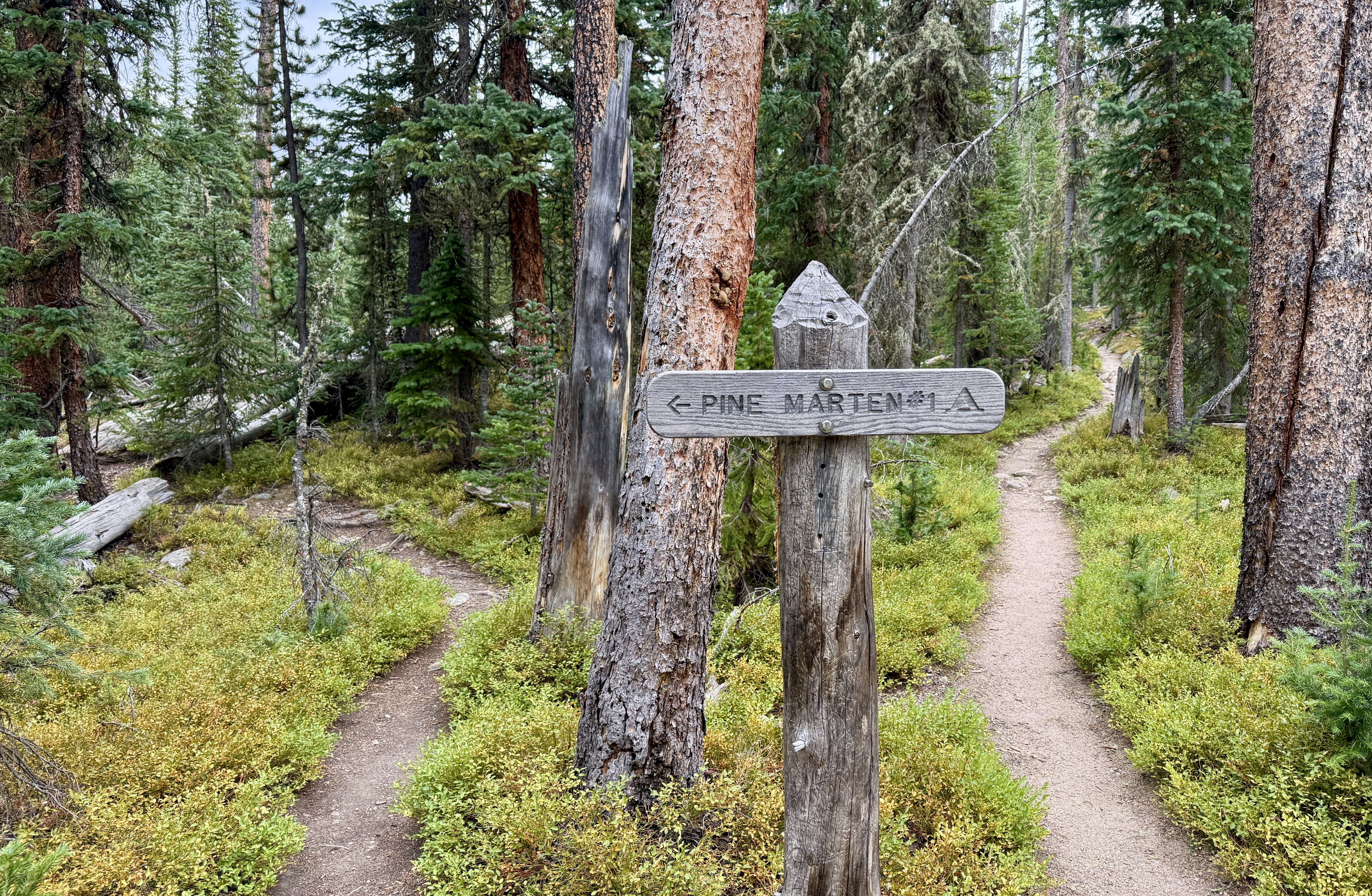 Rocky Mountain National Park CDT Loop: Day 1 – North Inlet