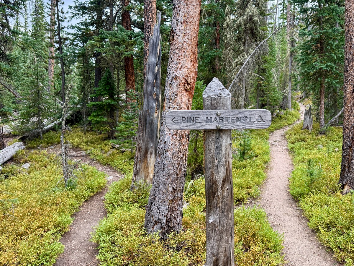 Rocky Mountain National Park CDT Loop: Day 1 – North Inlet Trailhead to Pine&nbsp;Marten