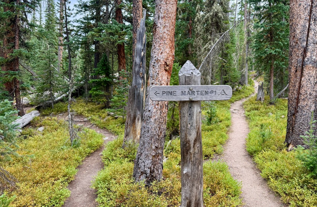 Rocky Mountain National Park CDT Loop: Day 1 – North Inlet Trailhead to Pine Marten