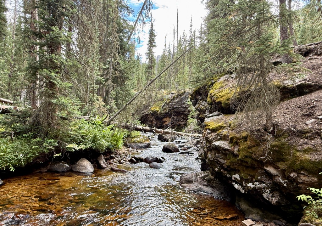 A serene view of a winding creek surrounded by lush greenery and rocky outcrops in a forested area.