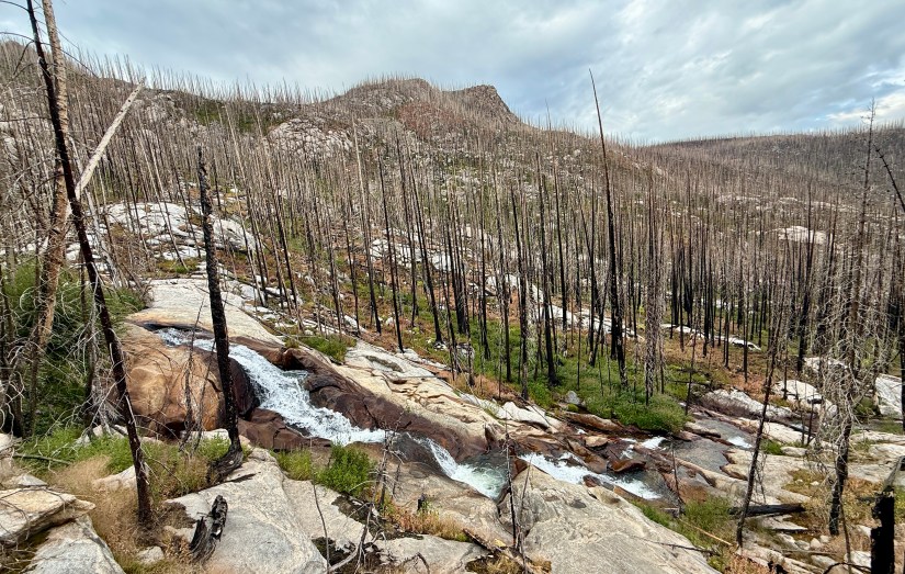 A stream cascades over rocky terrain in a burned forest area, with blackened tree stumps in the background and low vegetation indicating regrowth under a cloudy sky.