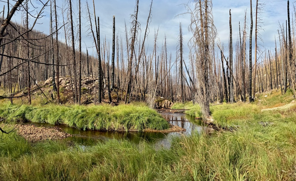 Rocky Mountain National Park CDT Loop: Day 4 -Along the Big Meadows