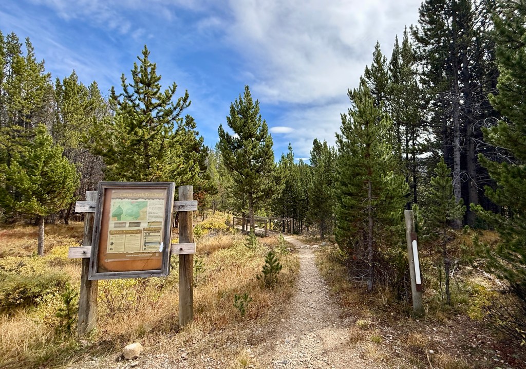 Trailhead for Corral Creek featuring a wooden sign with maps and information surrounded by dense pine trees and a clear blue sky.