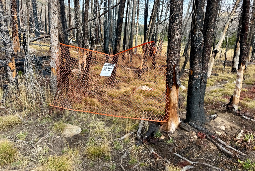 A warning sign stating 'Danger Do Not Enter' is attached to an orange mesh fence, positioned near charred trees in a burn area, with hints of green grass visible in the foreground.