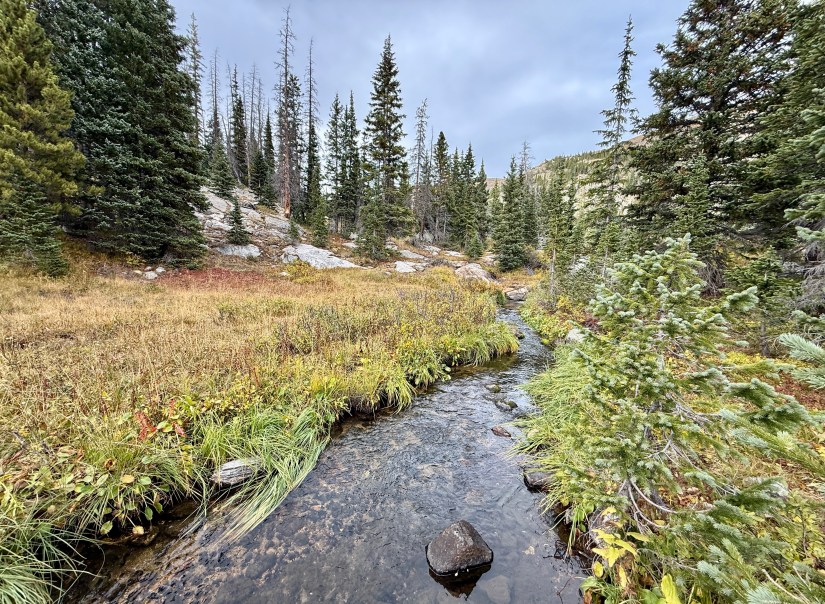 A serene view of a small creek winding through a grassy area surrounded by pine trees and rocky terrain in a mountainous landscape.