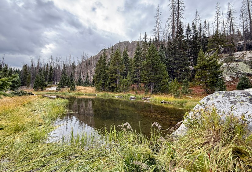 Serene view of a small pond surrounded by trees and rocky terrain, highlighting the contrast between green vegetation and the charred remains of burnt trees in the background.
