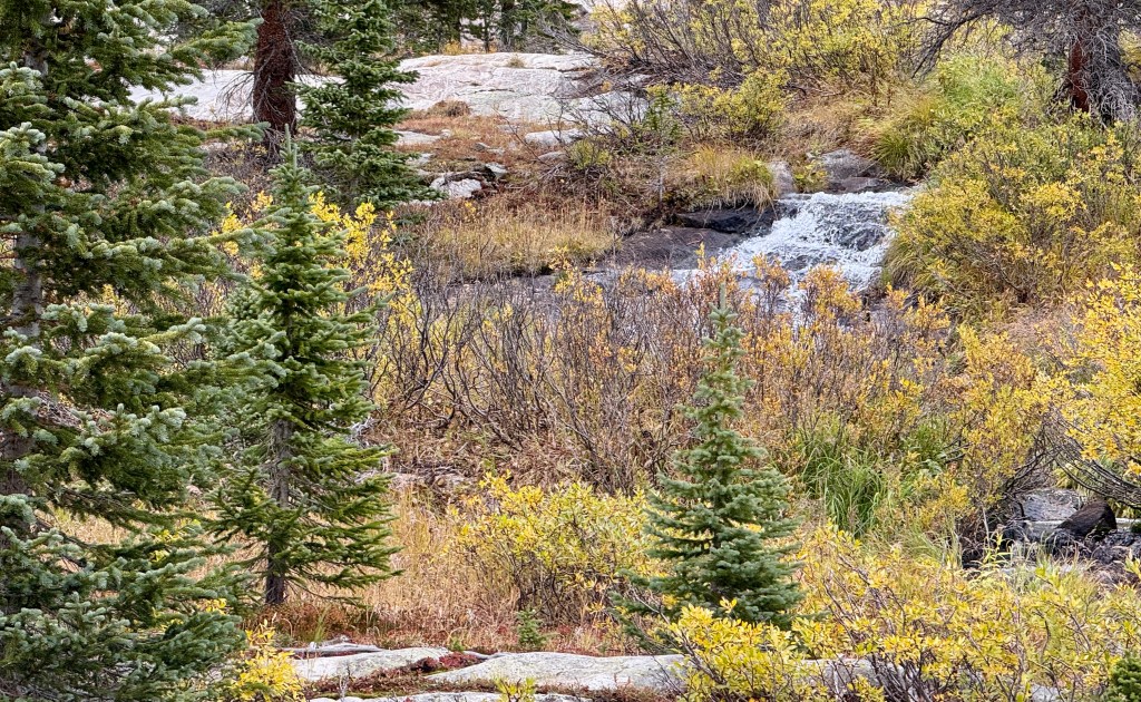 A scenic view of a small waterfall cascading over rocks, surrounded by vibrant autumn foliage and evergreen trees in the wilderness.