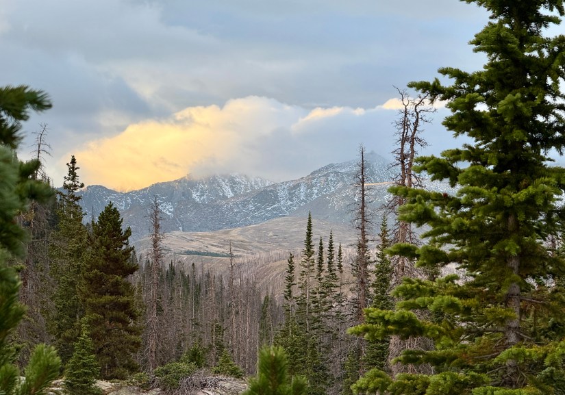 Scenic view of the Rocky Mountains at sunset, framed by evergreen trees in the foreground.