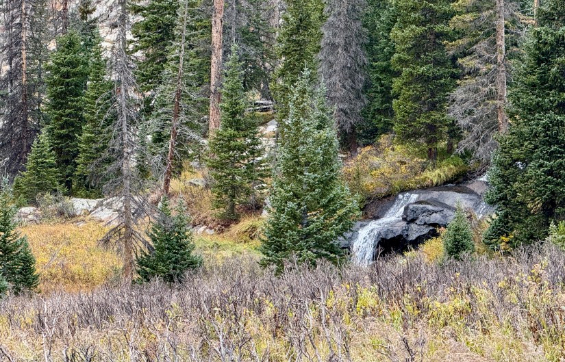 A serene forest landscape featuring evergreen trees and a small waterfall cascading over rocks, surrounded by vibrant autumn foliage.