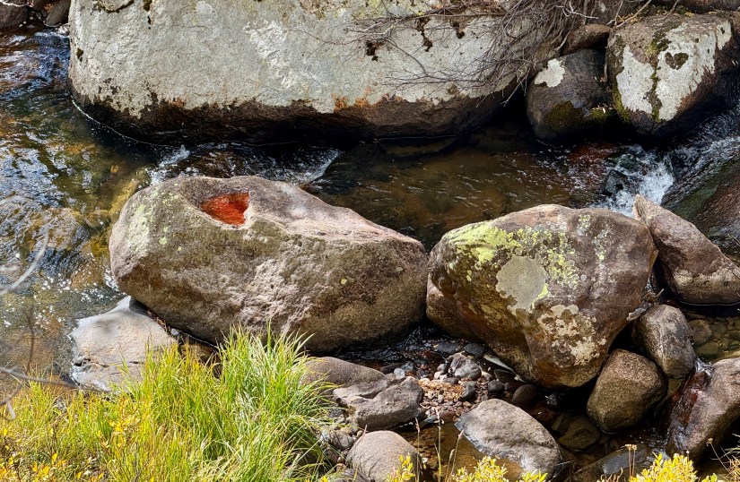 A close-up view of smooth rocks along a stream, featuring a distinct red-hued area on one rock, surrounded by lush green grass and water flowing in the background.
