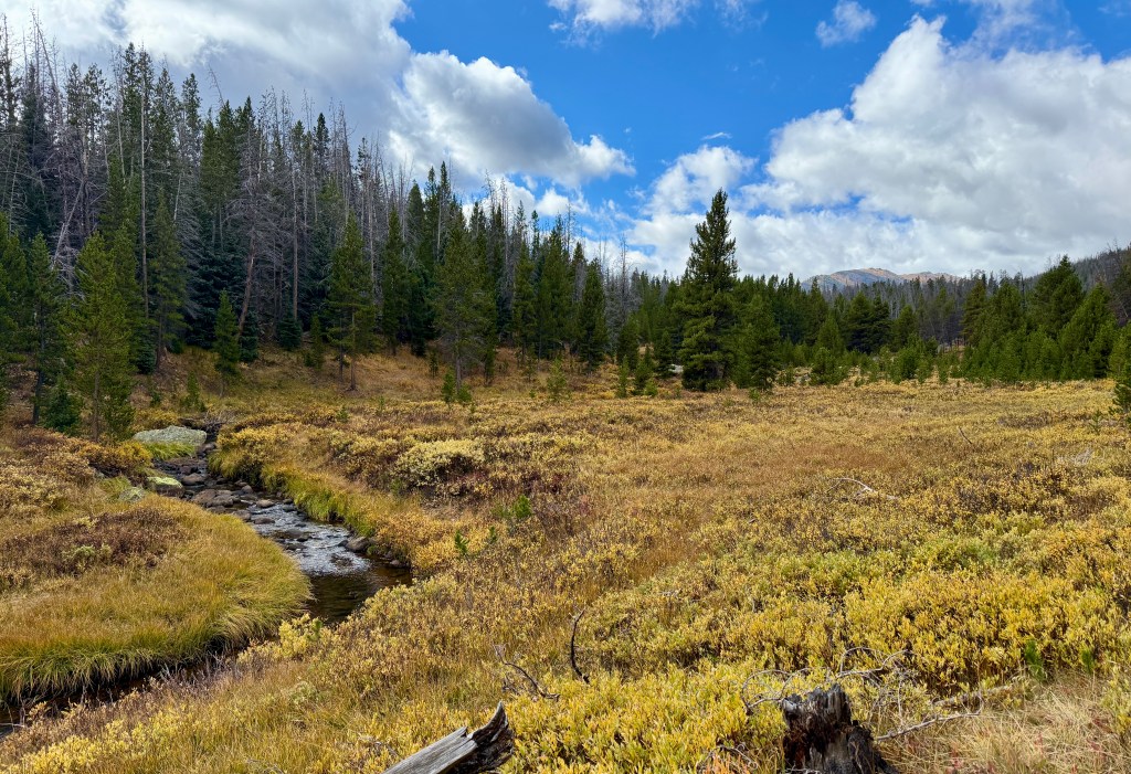 A scenic view of a grassy meadow with a small creek running through it, surrounded by evergreen trees and a backdrop of mountains under a partly cloudy sky.