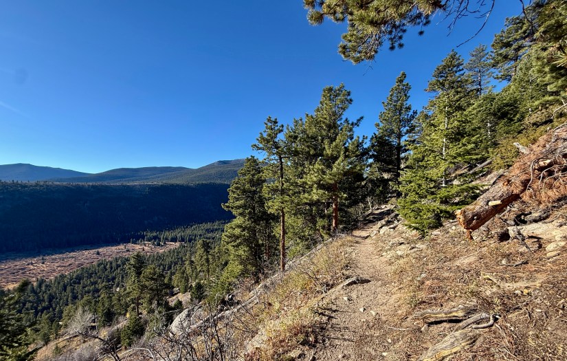 A scenic view along a hiking trail with pine trees lining the path, overlooking a valley and distant mountains under a clear blue sky.