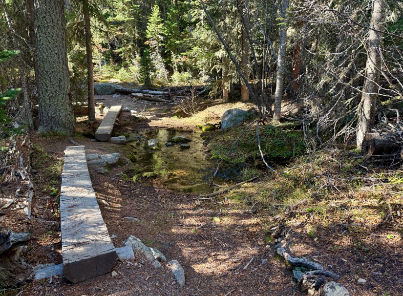 A wooden footbridge crossing a small stream in a forested area, surrounded by tall trees and natural vegetation.