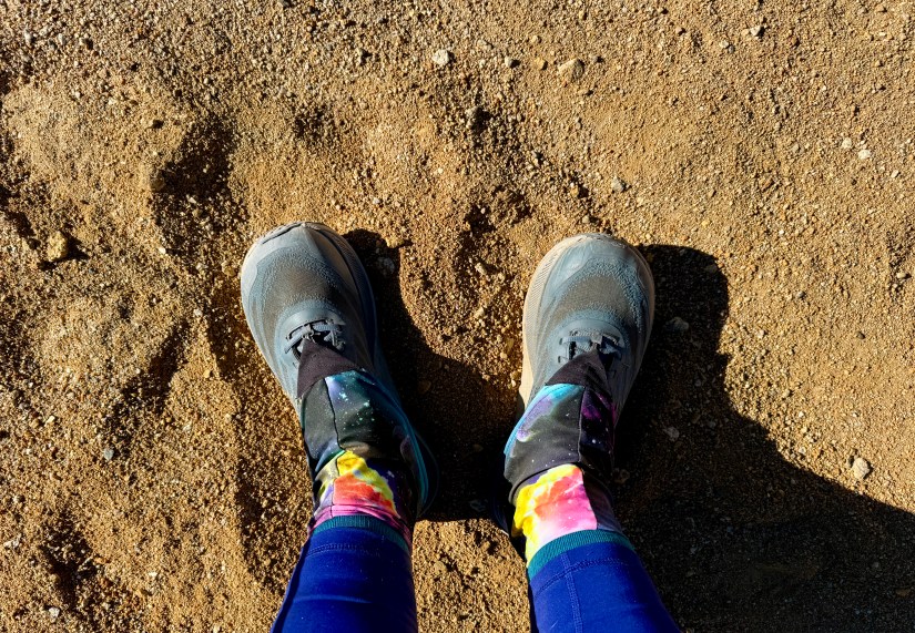 Close-up of a person's feet wearing hiking shoes and colorful socks standing on sandy ground.