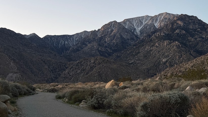 A winding gravel path leading towards snow-capped mountains in the early morning light, surrounded by desert vegetation.