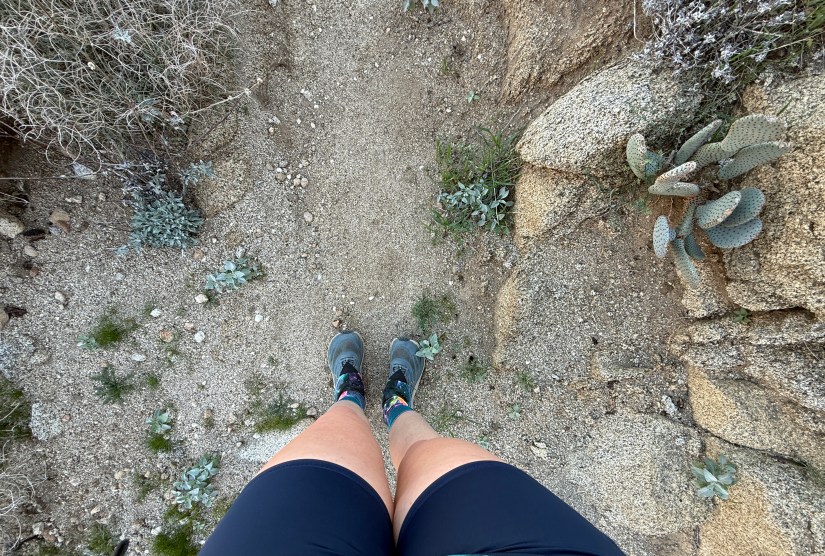 A hiker's legs and feet positioned on a narrow dirt trail surrounded by desert vegetation, including cacti and small plants.