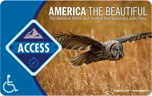 National Parks and Federal Recreational Lands Pass card featuring an owl in flight, with text 'America the Beautiful' and an 'ACCESS' icon.