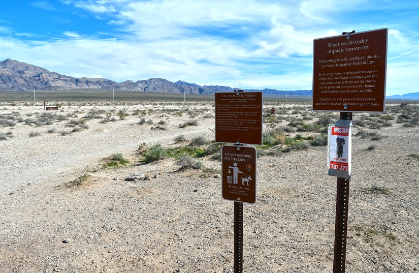 Desert landscape with mountains in the background, featuring informational signs about federal laws regarding fossils and artifacts, and a missing dog poster.
