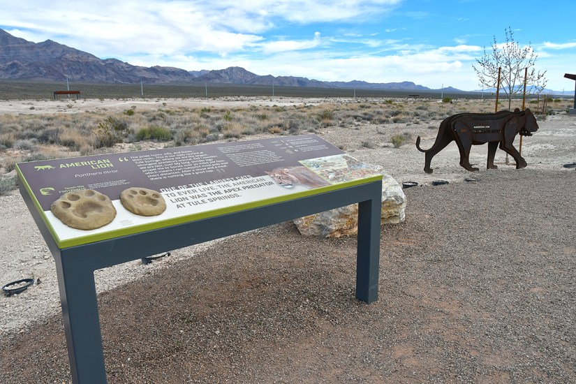 A sign displaying information about American lions with paw prints and a metal sculpture of a lion on a trail in a desert landscape.