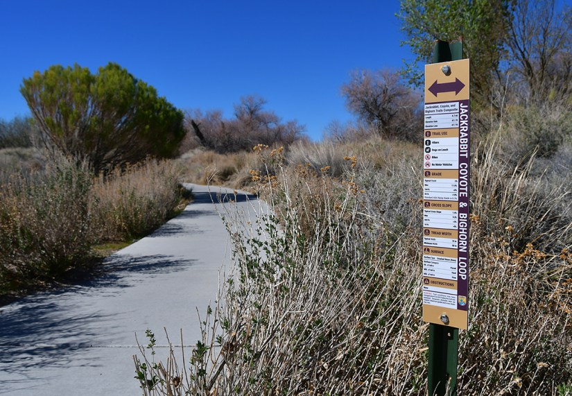 A pathway surrounded by dry vegetation, featuring a sign post indicating the Jackrabbit, Coyote, and Bighorn Loop trails, with a clear sky in the background.