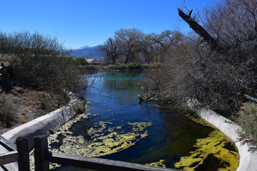 A serene view of a winding river surrounded by sparse vegetation and trees, with clear blue skies above and distant mountains in the background.