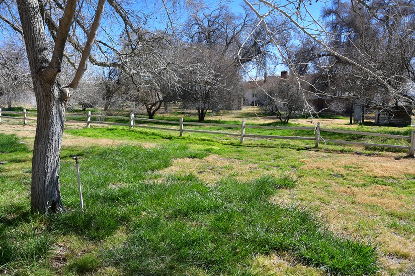 A scenic view of a grassy field bordered by trees and a wooden fence under a clear blue sky.
