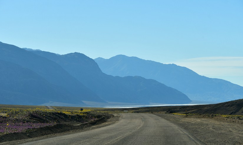 A scenic view of a winding dirt road flanked by vibrant wildflowers, with expansive mountains and a clear blue sky in the background.